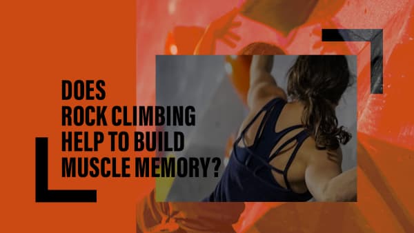 Does Rock Climbing Help to Build Muscle Memory?