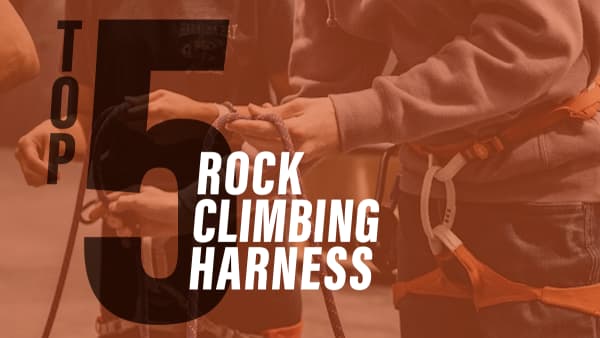 Top 5 Rock Climbing Harnesses
