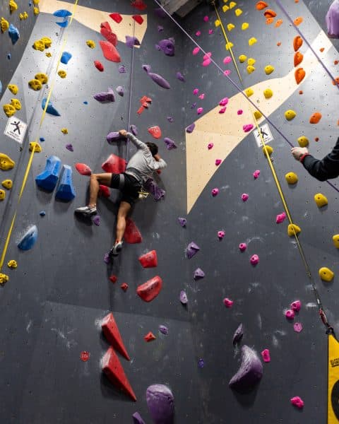 Why Top Rope Climbing Works for Beginners & Pros
